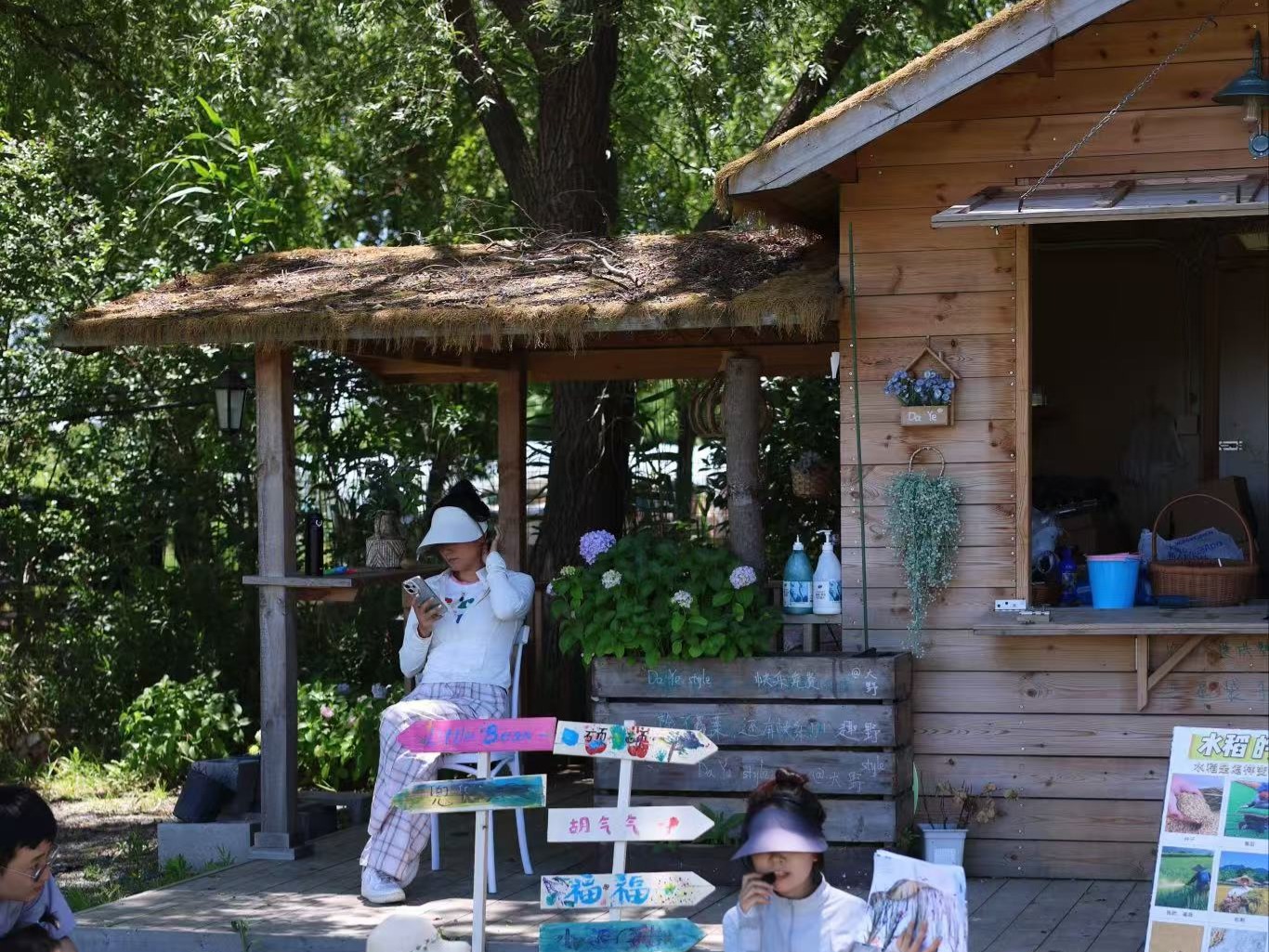 荷塘小院的木屋与院中树荫
