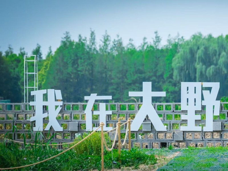 大野在田菜地里的「我在大野」木牌